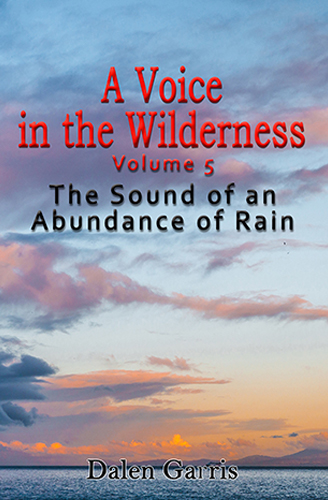 The Sound of an Abundance of Rain