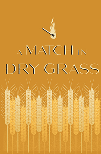 A Match in Dry Grass
